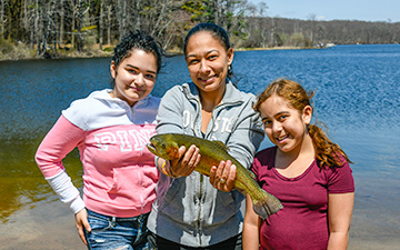 Find Your Next Adventure