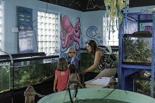 Join In: Events Calendar