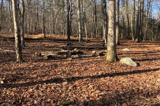 Campground Details - Arcadia Backpack Area, RI - Rhode Island State Parks